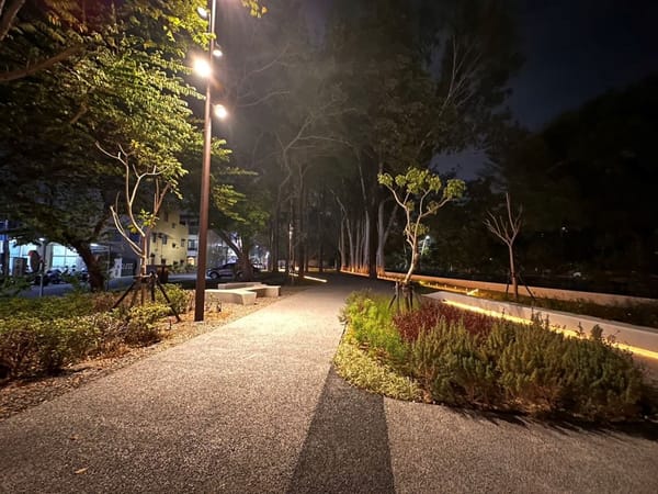 嘉義市民生公園穿城之水 藍綠環圈-道將圳水綠廊道營造計畫 新春花開嶄新面貌