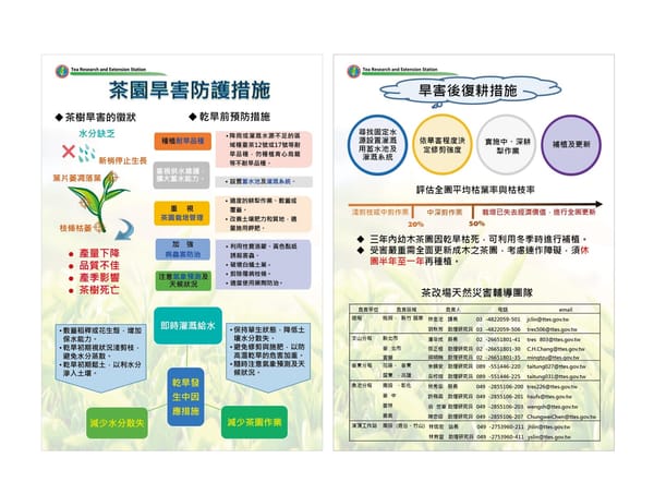 春茶雨情不佳 嘉義縣政府呼籲茶農即早啟動抗旱防護措施
