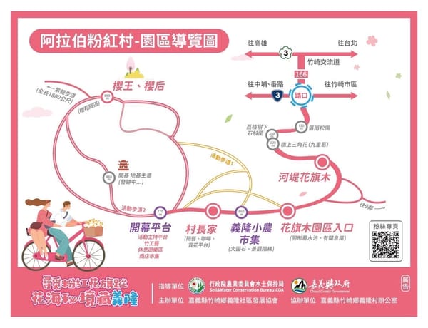 尋覓粉紅花旗蹤 花海秘境藏義隆嘉義縣長翁章梁力推平原櫻花秘境竹崎阿拉伯粉紅村