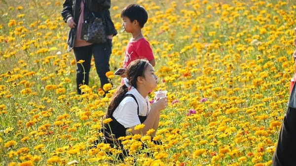 嘉義花海生活節又來了！重磅登場 嘉義市長黃敏惠邀大家來嘉綻放快樂體驗生活
