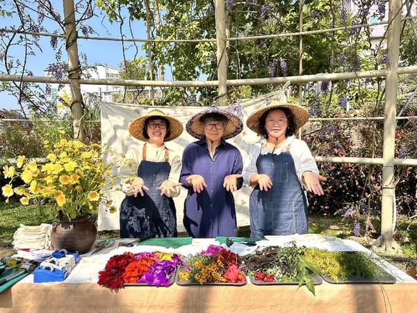 「2024瑞里紫藤花季」紫色野餐登場 3月到嘉義感受紫色浪漫