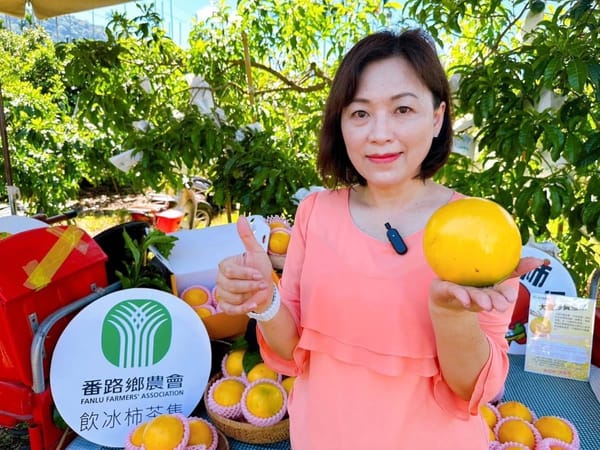 番路鄉農會夏季第一批黃金果亮相 農會呼籲一起用行動支持用心的農民