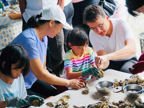 嘉義縣政府推牡蠣食魚教育，遊客開心體驗一日青蚵嫂